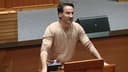 Slika uz članak: Miletić žestoko u Saboru: "Takve ljude treba objesiti na trgu. Sve treba politi benzinom i zapaliti, poravnati bagerom..."