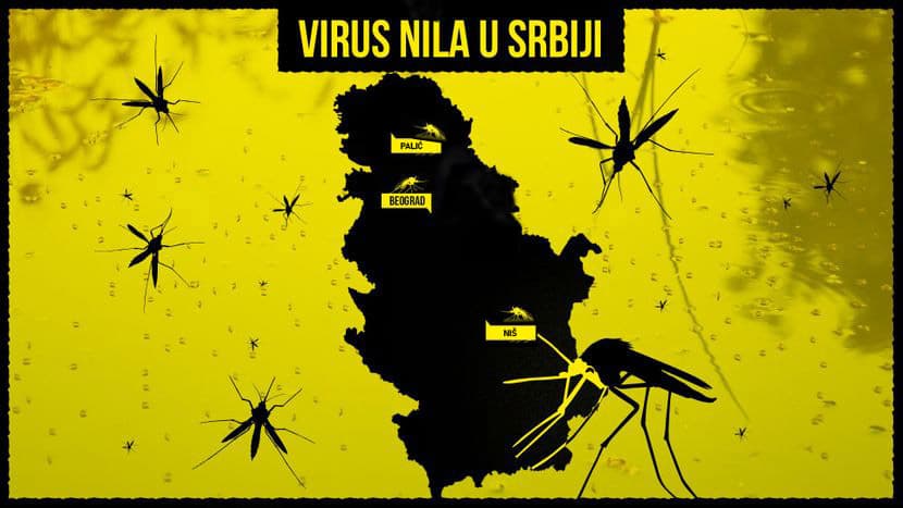 Slika uz članak: Batut: Groznica Zapadnog Nila bukti u 11 OKRUGA, evo koja starosna grupa je prva na udaru