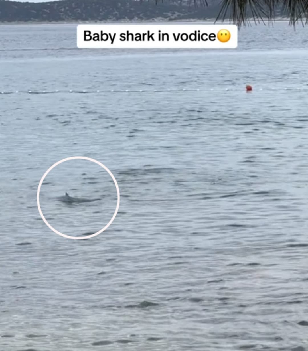 Slika uz članak: (VIDEO) JEZIVI PRIZORI NAKON OLUJE Grad pod vodom, ajkula snimljena kako pliva ulicama