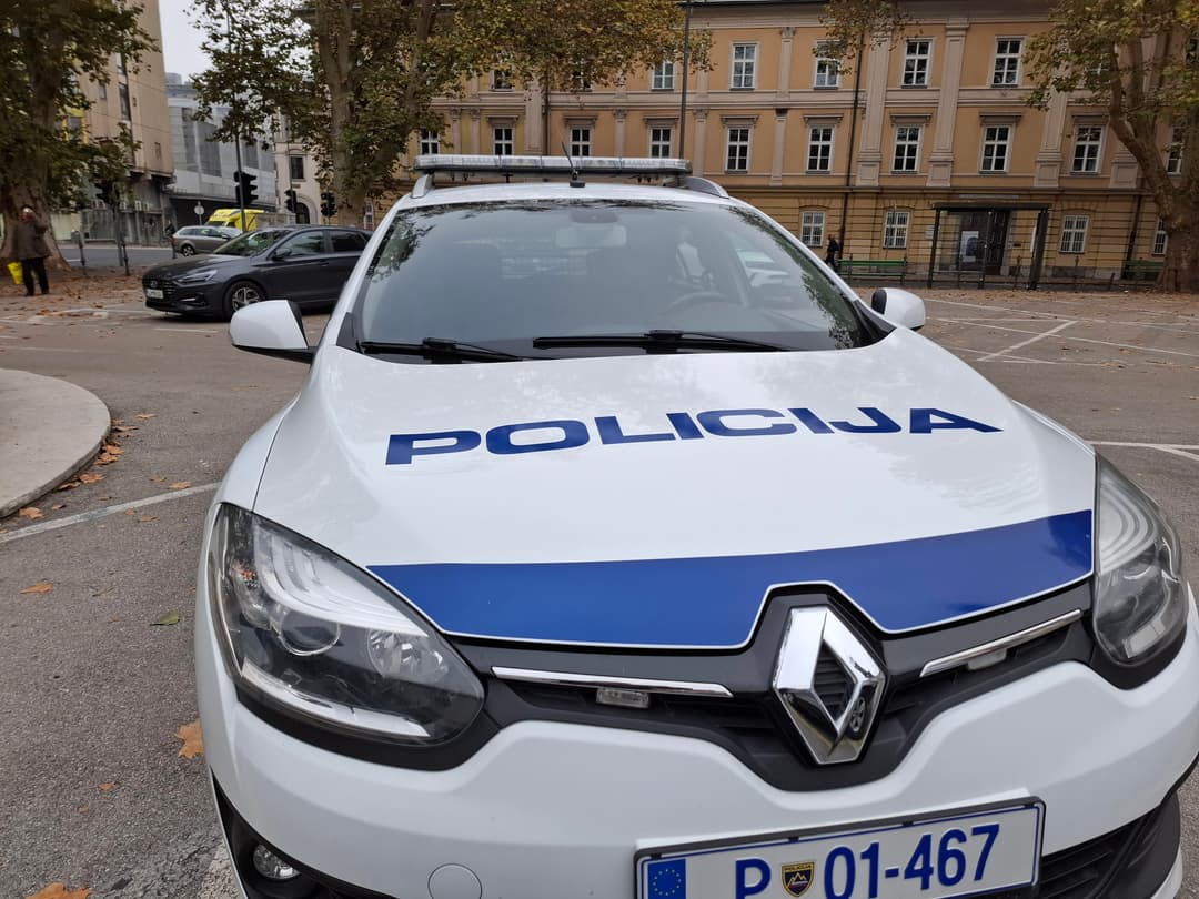 Slika uz članak: PAS UGRIZAO DIJETE Životinja nije bila na povocu, policija reagovala