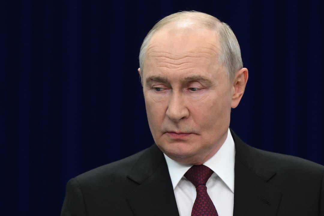 Slika uz članak: AfD i Putin dogovaraju sastanak?