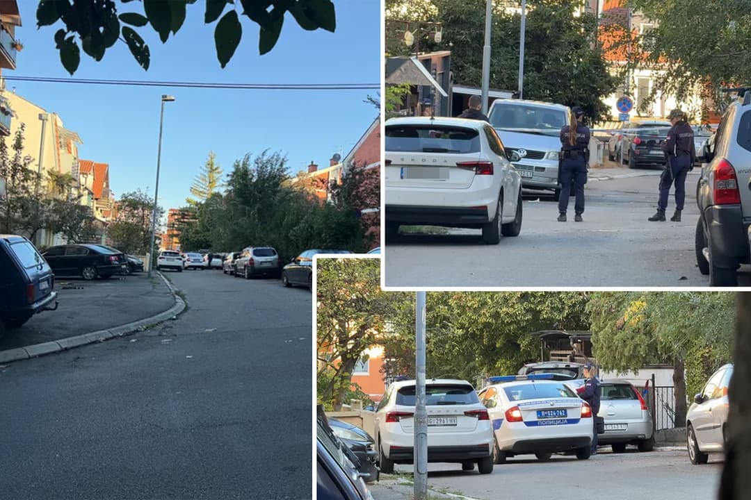 Slika uz članak: Prve slike sa Zvezdare! Bačena bomba na kuću, kamera snimila napadača, policija opkolila kraj!
