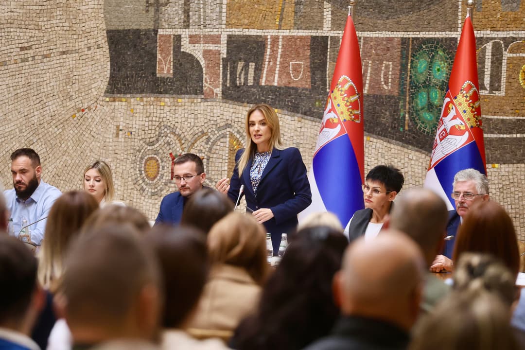 Slika uz članak: Ђурђевић Стаменковски: родитељима-неговатељима накнада од 65.000 динара, постојећа права се не укидају